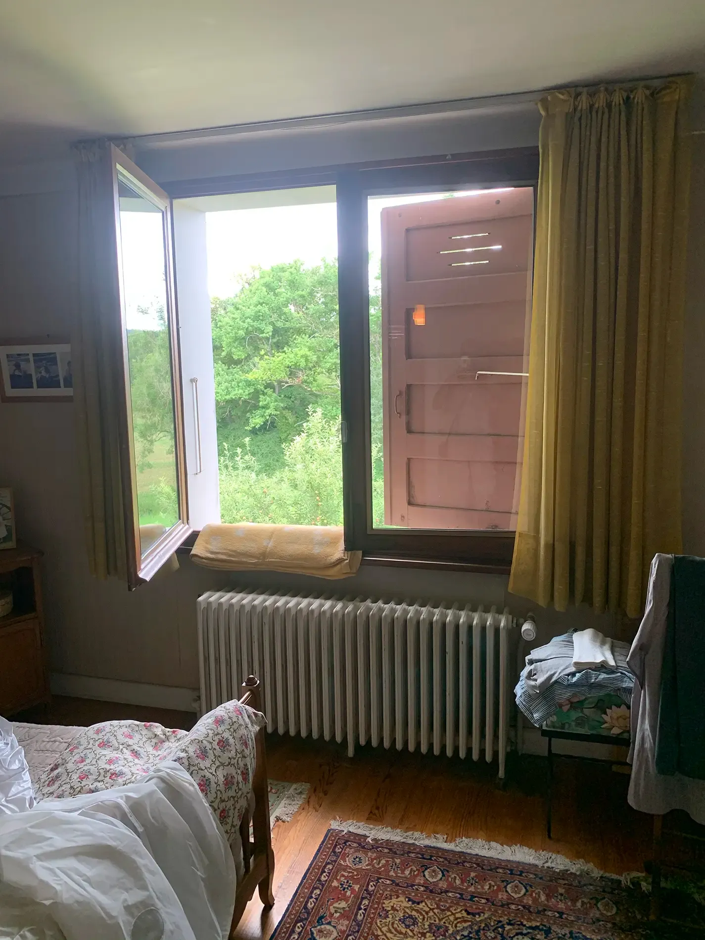 Chambre végétale avant travaux