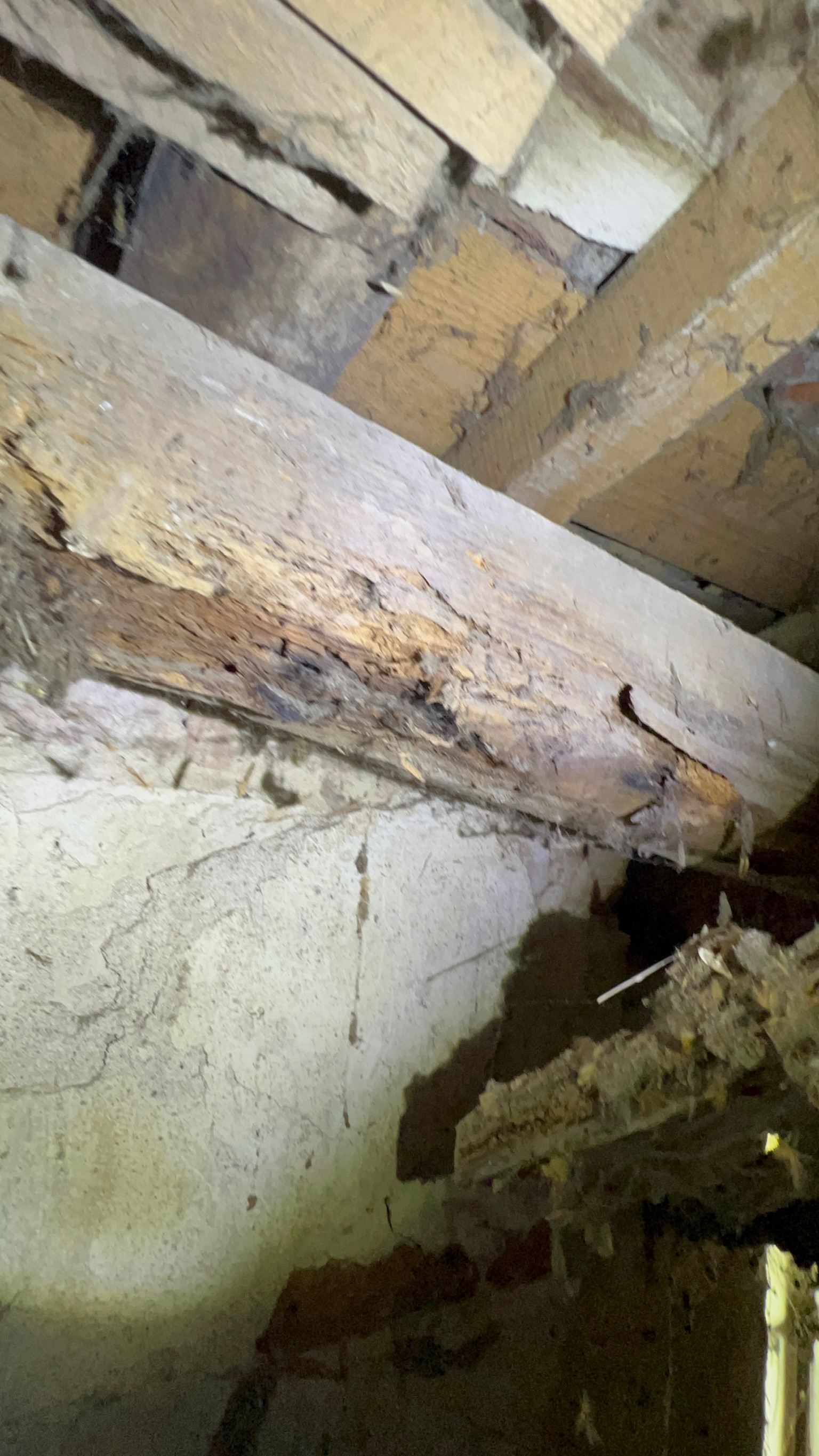 Charpente pourrie menaçant un mur en pisé