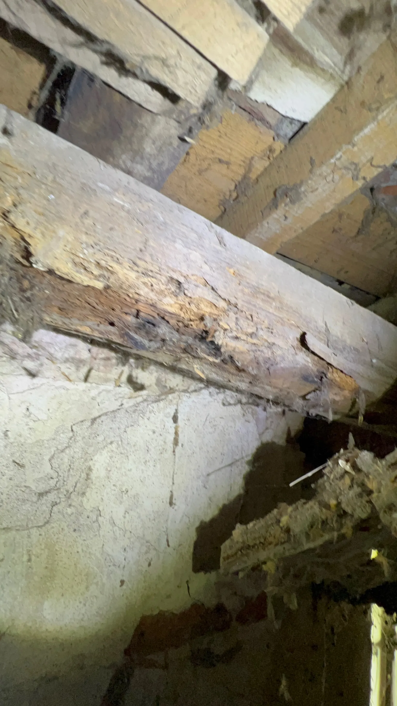 Charpente pourrie menaçant un mur en pisé