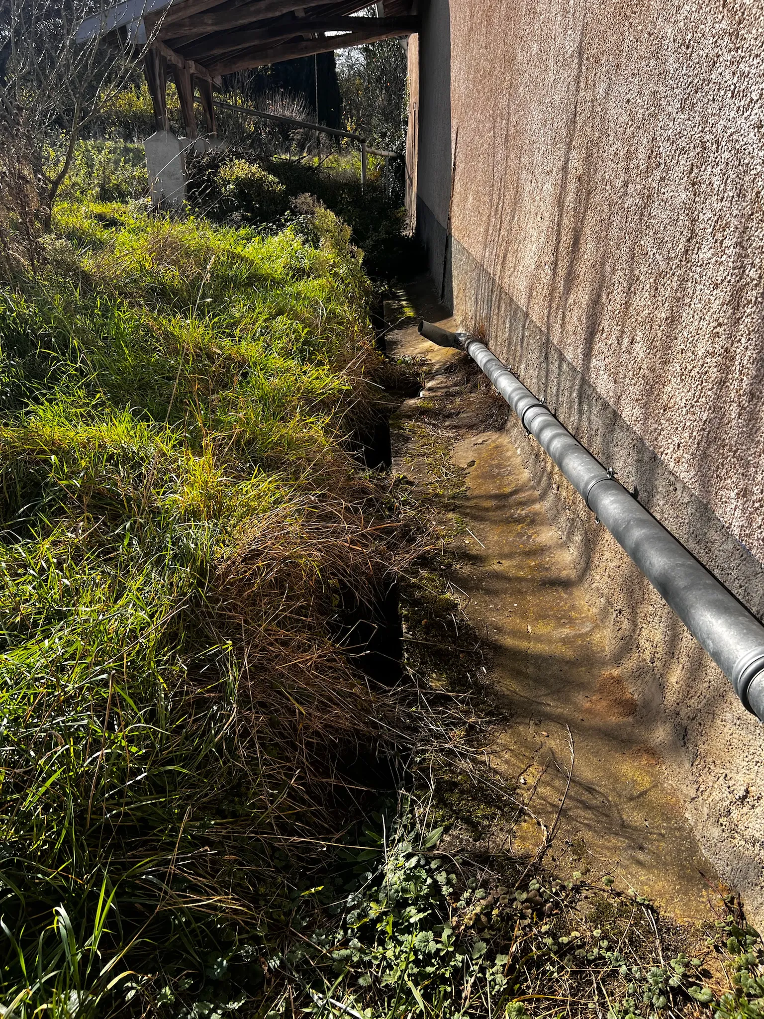 Importance d'éloigner les eaux de pluie du pied des murs