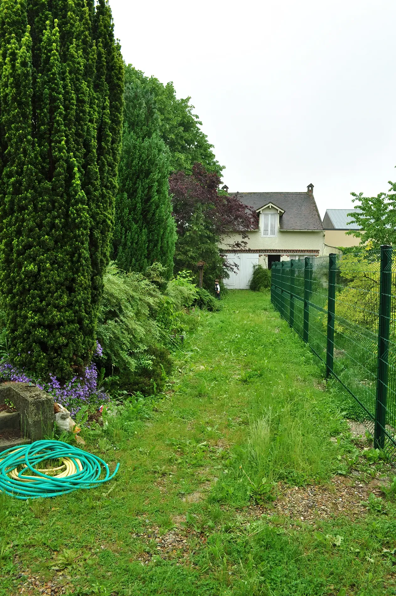 Jardin après travaux (2)