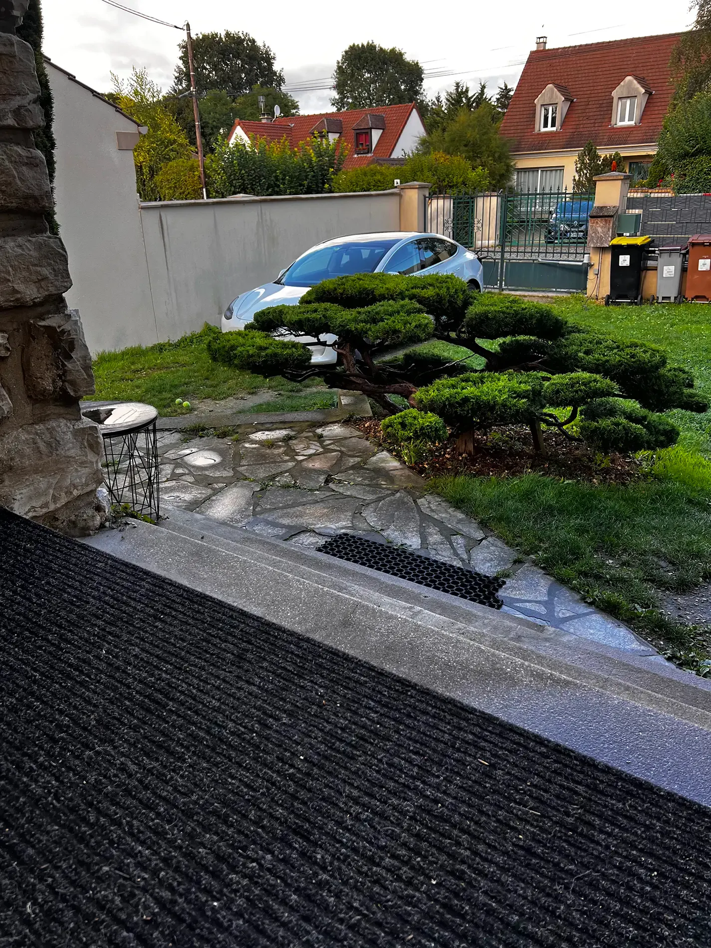 Jardin après travaux (5)