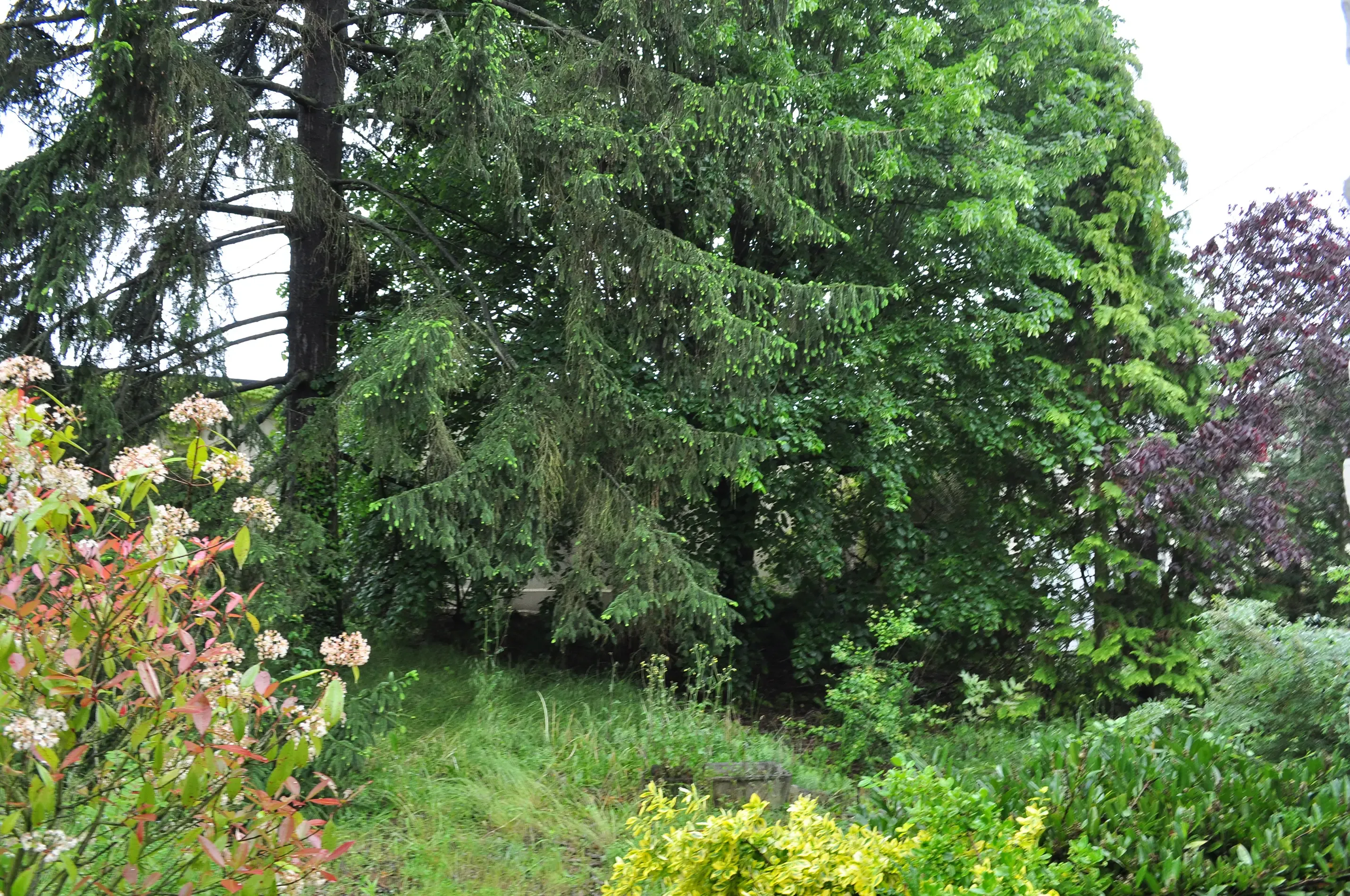 Jardin après travaux (7)