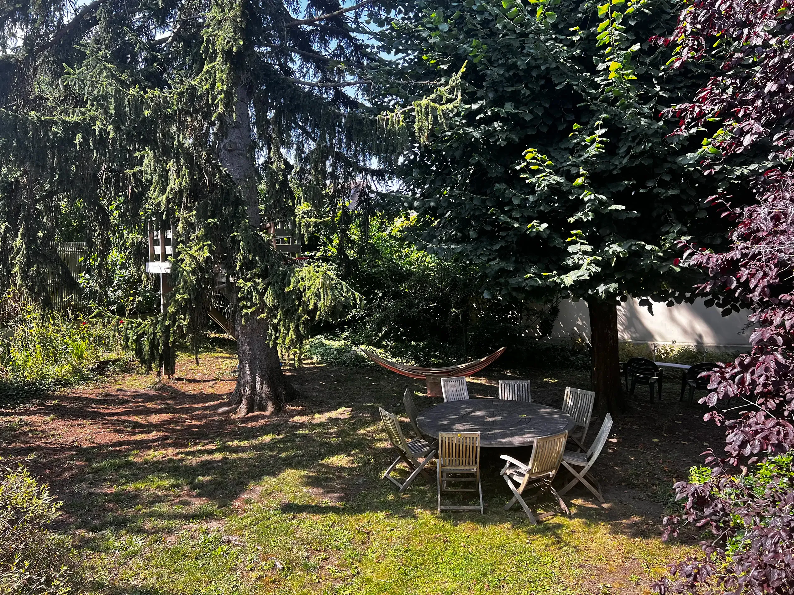 Jardin après travaux (8)